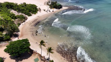 Rio Grande do Norte 'deki Genipabu Sahili' nde Karayip manzarası. Brezilya Kuzeydoğu. Tatil manzarası. Cennet manzarası. Rio Grande do Norte 'deki Genipabu Plajı. Brezilya 'nın kuzeydoğu sahili..