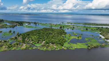 Amazon Ormanı 'nda Amazon Nehri' nin yüzen restoranları. Manaus Brezilya. Doğa, vahşi hayat manzarası. Yeşil arka plan. Amazonas eyaletindeki orman ağaçları. Turizm cazibesi. Seyahat hedefi.