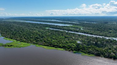 Manaus Brezilya. Amazon Ormanı 'ndaki Taruma Nehri Amazon Biomu' ndaki dev Kara Nehir 'in zenginliği. Doğal yaban hayatı manzarası. Küresel ısınma orman tahribatı. Amazon yağmur ormanları vahşi yaşam.