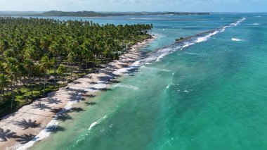 Carneiros Sahili, Tamandare, Pernambuco Brezilya. Egzotik Körfez Suyu. Doğa manzarası. Paradisiac Manzarası. Seyahat güzergahı. Carneiros Plajı Tamandare, Pernambuco Brezilya.