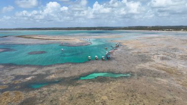 Patacho Doğal Havuzları Sao Miguel Dos Milagres Alagoas Brezilya 'da. Mercan Resifi Körfezi Suyu. Doğa manzarası. Paradisiac Manzarası. Seyahat güzergahı. Sao Miguel Dos Milagres Alagoas.