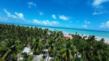 Alagoas Brezilya 'daki Maragogi' de Antunes Plajı. Turizm arazisi. Karayip arka planı. Seyahat Manzarası. Tatil Varış Yeri. Göz kamaştırıcı sahne. Alagoas Brezilya 'daki Maragogi' de Antunes Plajı.