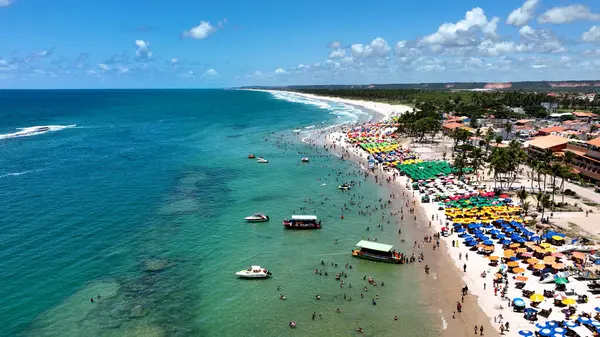 Γαλλική Παραλία Τροπικό Τουρισμό Ορόσημο Στο Maceio Alagoas Βραζιλία Παραλία Φωτογραφία Αρχείου