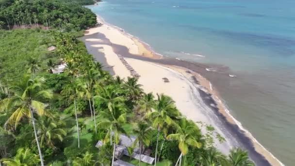 Mirror Beach Trancoso Bahia Brazil Beach Landscape Brazilian Northeast Bahia — Stock Video