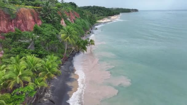 巴西塞古罗巴伊亚州的椰子树 Idyllic海滩 自然景观 巴西巴伊亚州 旅游背景 巴西塞古罗巴伊亚州的椰子树 旅游业的和平景象 — 图库视频影像