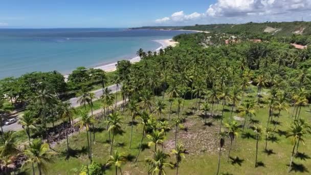 Curuipe Beach Porto Seguro Bahia Brasil Playa Idílica Paisaje Natural — Vídeo de stock