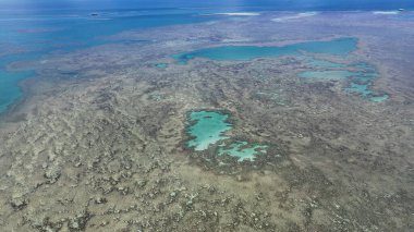 Porto Seguro Bahia Brezilya 'daki Mercan Kayalıkları Parkı. Idyllic Plajı. Doğa manzarası. Bahia Brezilya. Turizm arka planı. Porto Seguro Bahia Brezilya 'daki Mercan Kayalıkları Parkı. Huzurlu Turizm Manzarası.