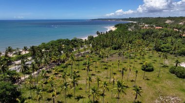 Porto Seguro Bahia Brezilya 'daki Plaj Sahnesi. Plaj manzarası. Brezilya Kuzeydoğusu. Bahia Brezilya. Deniz Burnu Açık Hava. Porto Seguro Bahia 'daki Plaj Sahnesi. Brezilya Keşif Sahili.