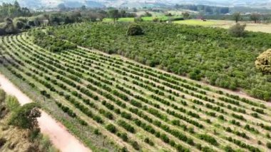 Brezilya 'nın kırsal kesimindeki tarım arazisi. Taşra Yeşili Alan Çevresel. Kırsal Brezilya 'nın kırsal kesiminde. Çiftlik Ülkesi. Çiftçilik Ortamı.