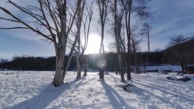 Arjantin 'in sonundaki Ushuaia' daki donmuş orman. Karlı Dağlar. Buzul Manzarası. Arjantin 'in sonu. Kış Yolculuğu. Ushuaia 'daki Donmuş Orman Dünya Arjantin' inin Sonu.