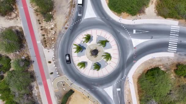암스테르담 카리브 네덜란드 아루바에서 비치에서 Roundabout 거북이 풍경입니다 Eagle Beach — 비디오