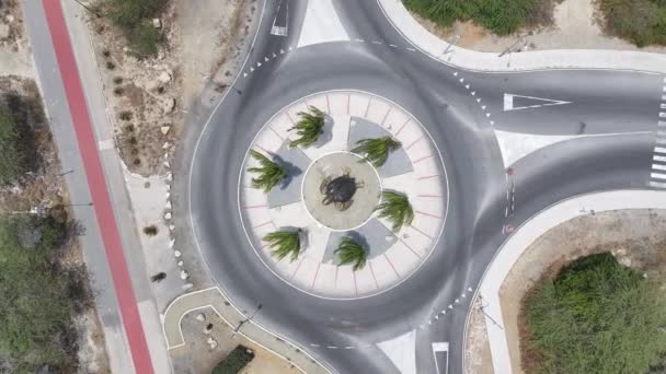 Θαλάσσια Χελώνα Roundabout Στο Oranjestad Στην Καραϊβική Ολλανδία Αρούμπα Χελώνα — Αρχείο Βίντεο