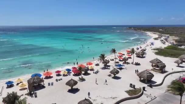 Hollanda Karayipler Deki Oranjestad Daki Arashi Plajı Aruba Plaj Manzarası — Stok video