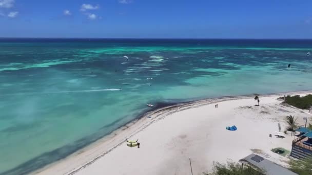Віндсерфінг Пляжі Хадікуарі Карибському Басейні Нідерланди Аруба Карибський Пляж Синьоморський — стокове відео