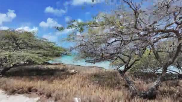 Örnen Beach Oranjestad Karibien Nederländerna Aruba Landskap Vid Stranden Karibiska — Stockvideo