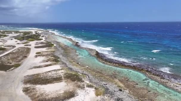 Baby Beach Oranjestad Karibien Nederländerna Aruba Karibiska Stranden Blå Havets — Stockvideo