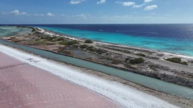 Bonaire Hollanda Antilleri 'ndeki Kralendijk Karayip Yolu' nda. Deniz Burnu Manzarası. Karayip Yolu. Bonaire Hollanda Antilleri 'nde Kralendijk. Sahilde. Turizm Seyahati.