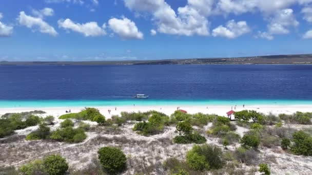 Klein Bonaire Kralendijk Bonaire Nederländska Antillerna Island Beach Blå Havslandskapet — Stockvideo