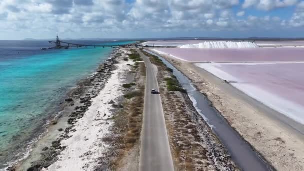 Strandväg Vid Kralendijk Bonaire Nederländska Antillerna Seascape Landskap Karibiska Vägen — Stockvideo