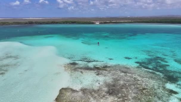 Sorobon Beach Kralendijk Bonaire Netherlands Antilles Island Beach Modrá Mořská — Stock video
