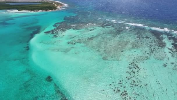 Caribbean Beach Kralendijk Bonaire Nederlandse Antillen Strand Landschap Caribisch Eiland — Stockvideo