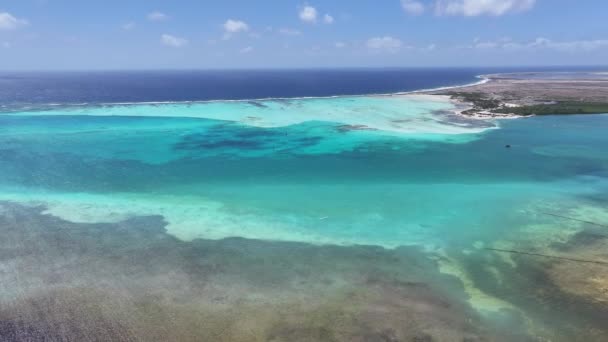 Caribbean Beach Kralendijk Bonaire Nederländska Antillerna Landskap Vid Stranden Karibiska — Stockvideo