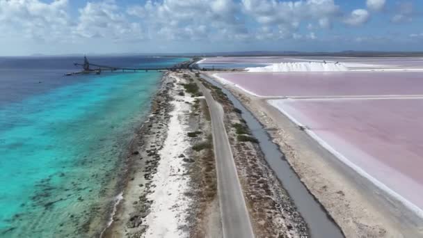 Caribbean Road Vid Kralendijk Bonaire Nederländska Antillerna Seascape Landskap Karibiska — Stockvideo