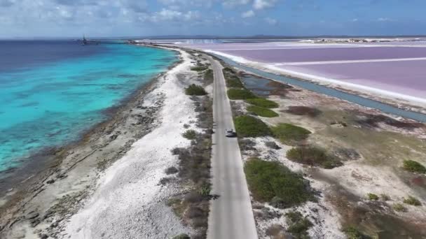 Beachfront Road Kralendijk Bonaire Netherlands Antilles Inglés Paisaje Marino Paisaje — Vídeos de Stock