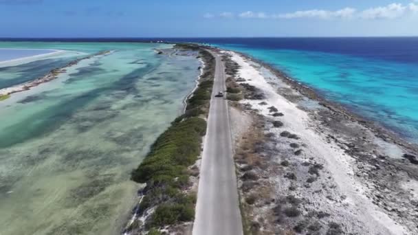 Caribische Weg Kralendijk Bonaire Nederlandse Antillen Zeegezicht Landschap Caribische Weg — Stockvideo