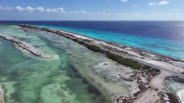 Οδός Καραϊβικής Στο Kralendijk Στις Ολλανδικές Αντίλλες Bonaire Τοπίο Θαλασσινών — Αρχείο Βίντεο