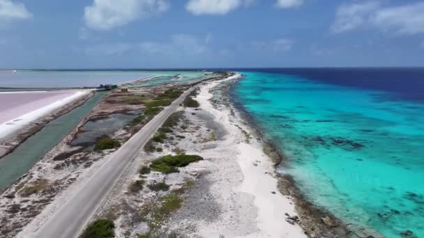 Caribbean Skyline Kralendijk Bonaire Nederländska Antillerna Landskap Vid Stranden Karibiska — Stockvideo