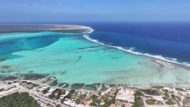 Sorobon Beach Kralendijk Bonaire Nederländska Antillerna Island Beach Blå Havslandskapet — Stockvideo