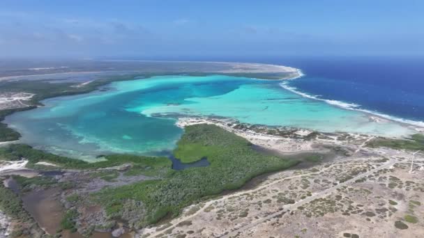 Sorobon Beach Kralendijk Bonaire Netherlands Antilles Beach Landscape Caribbean Island — Stock Video