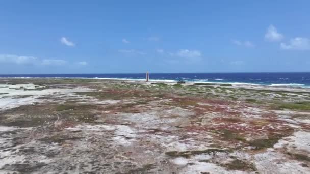 Bonaire Vuurtoren Kralendijk Bonaire Nederlandse Antillen Strand Landschap Caribisch Eiland — Stockvideo