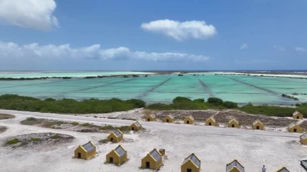 Red Slave Huts Kralendijk Bonaire Netherlands Antilles Dalam Bahasa Inggris — Stok Video