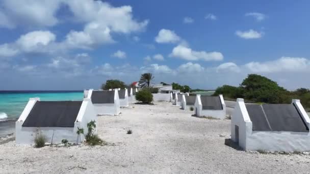 Gamla Slave Huts Kralendijk Bonaire Nederländska Antillerna Landskap Vid Stranden — Stockvideo