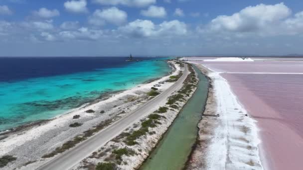 Zoutpier Kralendijk Bonaire Nederlandse Antillen Island Beach Blauwe Zee Landschap — Stockvideo