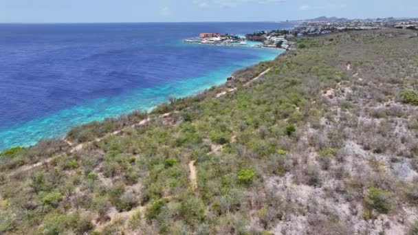Caribbean Beach Willemstad Netherlands Curaçao Praia Idílica Paisagem Natureza Willemstad — Vídeo de Stock