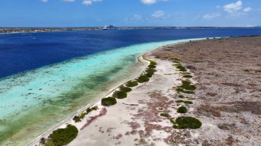 Klein Bonaire Kralendijk, Bonaire Hollanda Antilleri 'nde. Ada Sahili. Mavi Deniz Manzarası. Bonaire Hollanda Antilleri 'nde Kralendijk. Turizm arka planı. Doğa Deniz Burnu.