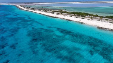 Hollanda 'nın Bonaire Antilleri' ndeki Kralendijk 'te sahil yolu. Deniz Burnu Manzarası. Karayip Yolu. Bonaire Hollanda Antilleri 'nde Kralendijk. Sahilde. Turizm Seyahati.