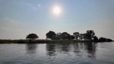 Botswana Skyline Kasane Botswana 'daki Chobe Ulusal Parkı' nda. Afrika Hayvanları Peyzajı. Vahşi Yaşam Manzarası. Kasane Botswana 'daki Chobe Ulusal Parkı. Büyük Beş Hayvan. Vahşi Arkaplan.
