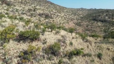 Kuzey Batı Afrika 'daki Rustenburg' daki Pilanesberg Parkı. Afrika Hayvanları Peyzajı. Pilanesberg Ulusal Parkı. Rustenburg, Kuzey Batı Güney Afrika. Büyük Beş Hayvan. Vahşi Yaşam Safarisi.