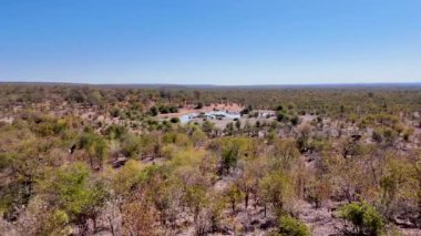 Kuzey Zimbabwe 'deki Victoria Şelalesi' nde Safari Skyline. Afrika Hayvanları Geçmişi. Vahşi yaşam manzarası. Kuzey Zimbabwe 'de Victoria Şelalesi. Safari Manzarası. Vahşi Sahne.