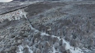 Tierra Del Fuego Arjantin 'deki Ushuaia' da kar kapaklı yol. Karlı Dağlar. Buzul Manzarası. Tierra Del Fuego Arjantin. Kış Arkaplanı. Tierra Del Fuego Arjantin 'de Ushuaia' da Karlı Yol.