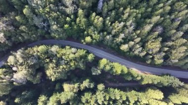 Rio Negro Arjantin, Bariloche 'deki Patagonya Yolu. Karlı Dağlar. Kar Kaplama Manzarası. Rio Zenci Arjantin. Kış Arkaplanı. Rio Negro Arjantin 'deki Bariloche' de Patagonya Yolu.