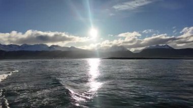 Tierra Del Fuego Arjantin 'de Ushuaia' da deniz turu. İnanılmaz Bay Water. Deniz Gezisi. Tekne Teknesi Sahnesi. Ushuaia 'da Deniz Gezisi Tierra Del Fuego Arjantin.