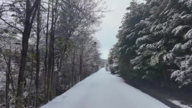 Tierra Del Fuego Arjantin 'deki Ushuaia' da kar kapaklı yol. Karlı Dağlar. Buzul Manzarası. Tierra Del Fuego Arjantin. Kış Arkaplanı. Tierra Del Fuego Arjantin 'de Ushuaia' da Karlı Yol.