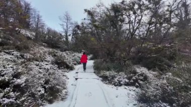 Tierra Del Fuego Arjantin 'de Ushuaia Ormanındaki Kadın. Kış manzarası. Açık hava Ulusal Parkı. Kar Kaplama Ormanı. Ushuaia 'da Ormandaki Kadın Tierra Del Fuego Arjantin.