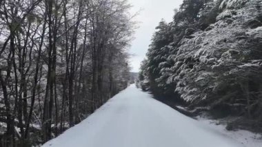 Tierra Del Fuego Arjantin 'deki Ushuaia' da kar kapaklı yol. Karlı Dağlar. Buzul Manzarası. Tierra Del Fuego Arjantin. Kış Arkaplanı. Tierra Del Fuego Arjantin 'de Ushuaia' da Karlı Yol.