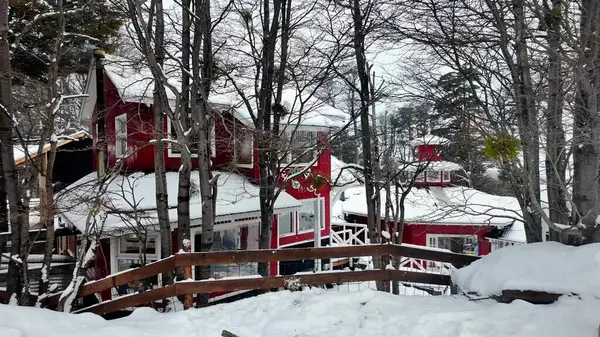 stock image Patagonia Village At Ushuaia In Tierra Del Fuego Argentina. Winter Landscape. Outdoor Snow Falling. Snow Capped Forest. Patagonia Village At Ushuaia In Tierra Del Fuego Argentina.